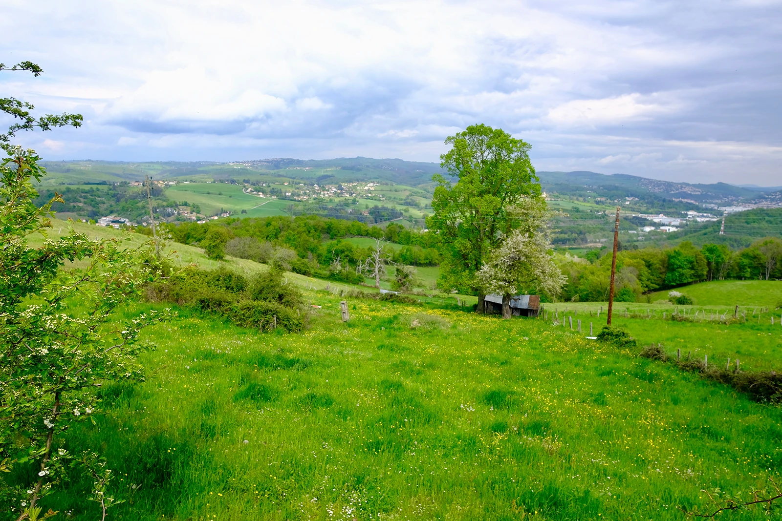 Bienvenue sur le site du Scot Sud Loire